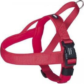 Nobby CLASSIC PRENO BRACES ML RED BRACES 50-64cm 20/25