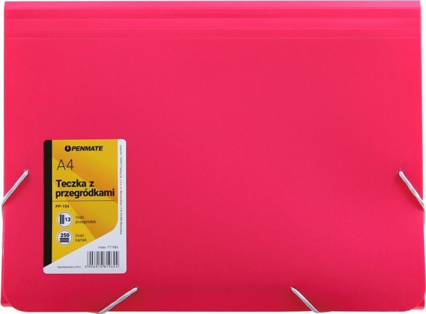 Penmate Folder with dividers A4 PP-104 pink