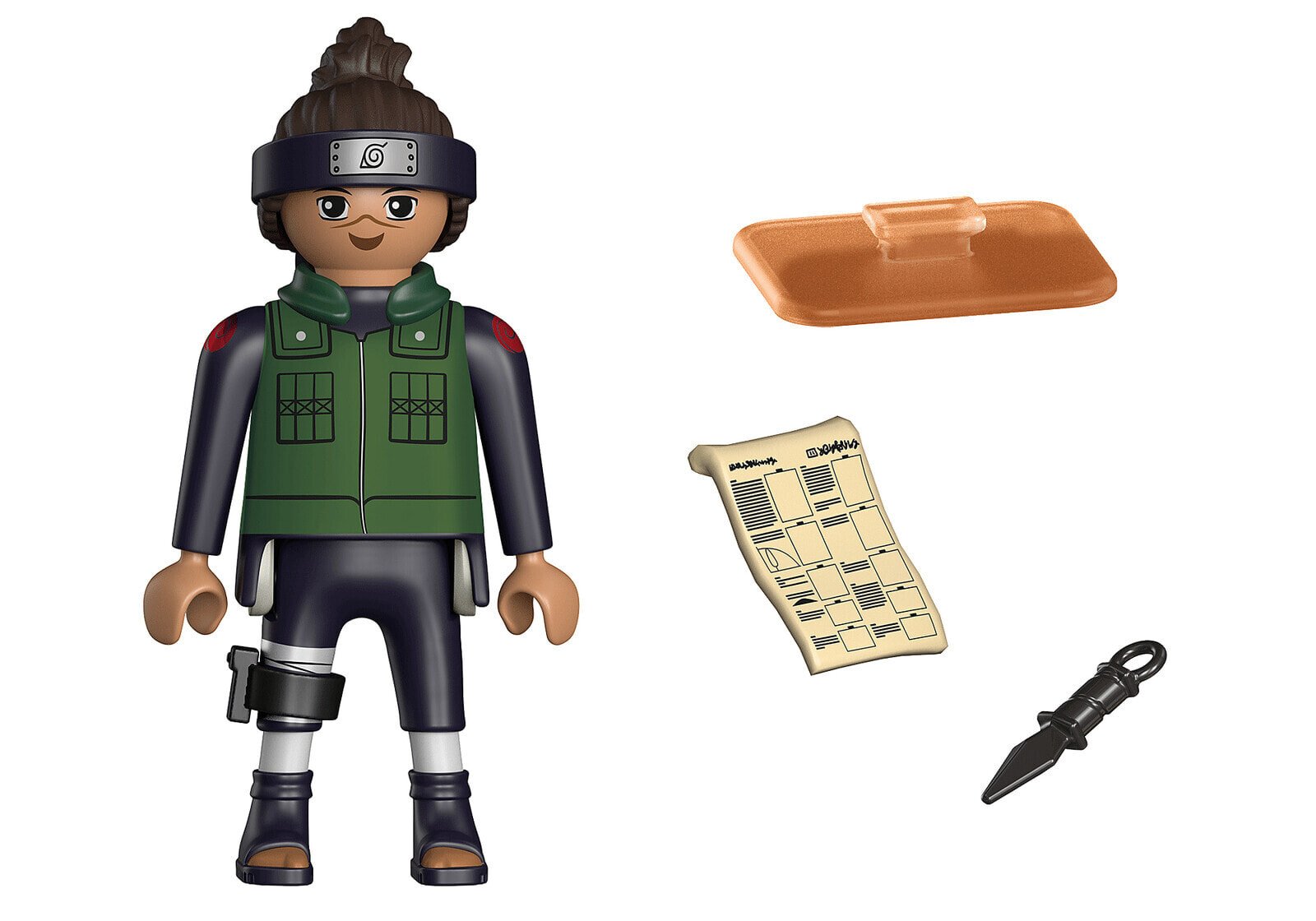 PLAYMOBIL Playm. Iruka 71113