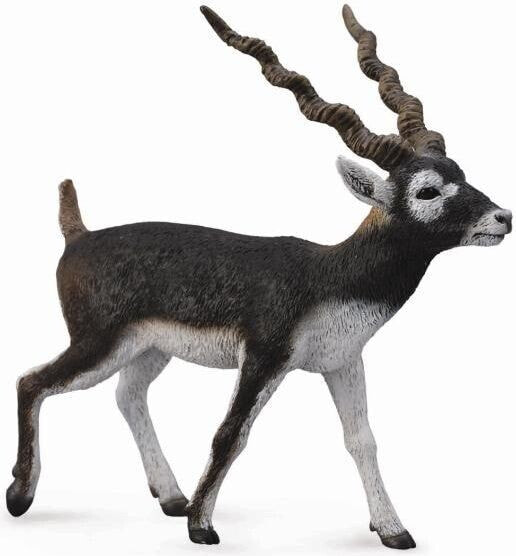 Figurka Collecta Antylopa Blackbuck (004-88638)