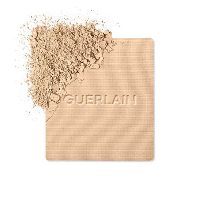Compact matting make-up Parure Gold Skin Control (Hight Perf