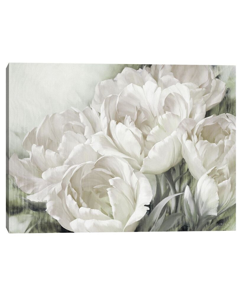 Fine Art Canvas angelique Tulips II White by Igor Levashov Canvas Art Print