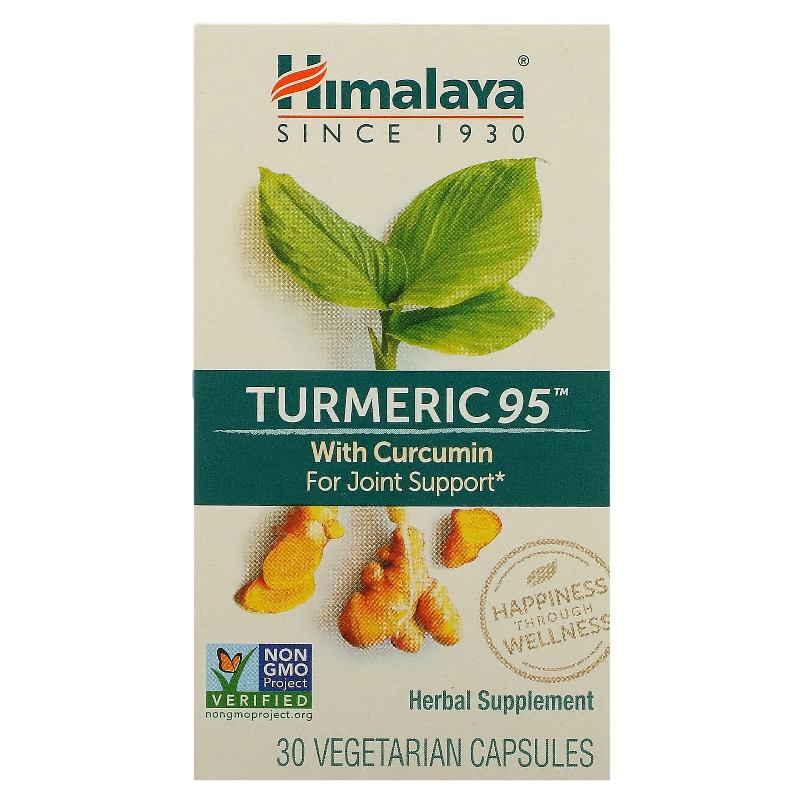 Turmeric 95 with Curcumin, 60 Vegetarian Capsules