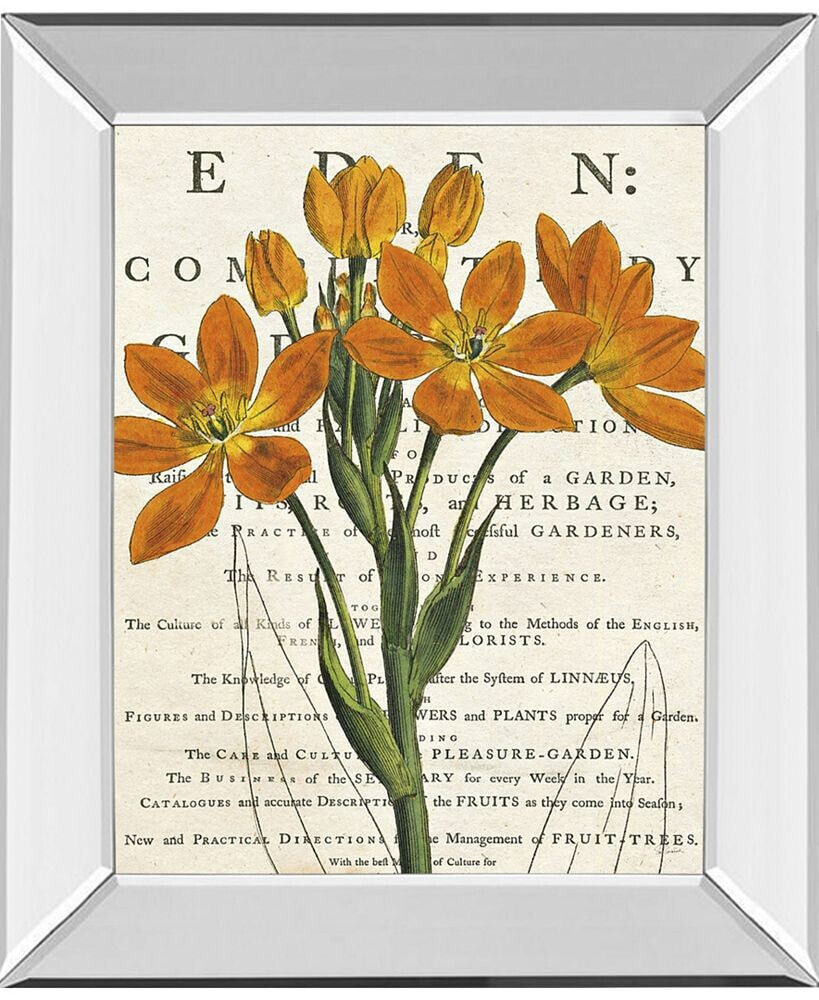 Classy Art eurphoria Botany by Sue Schlabach Mirror Framed Print Wall Art, 22