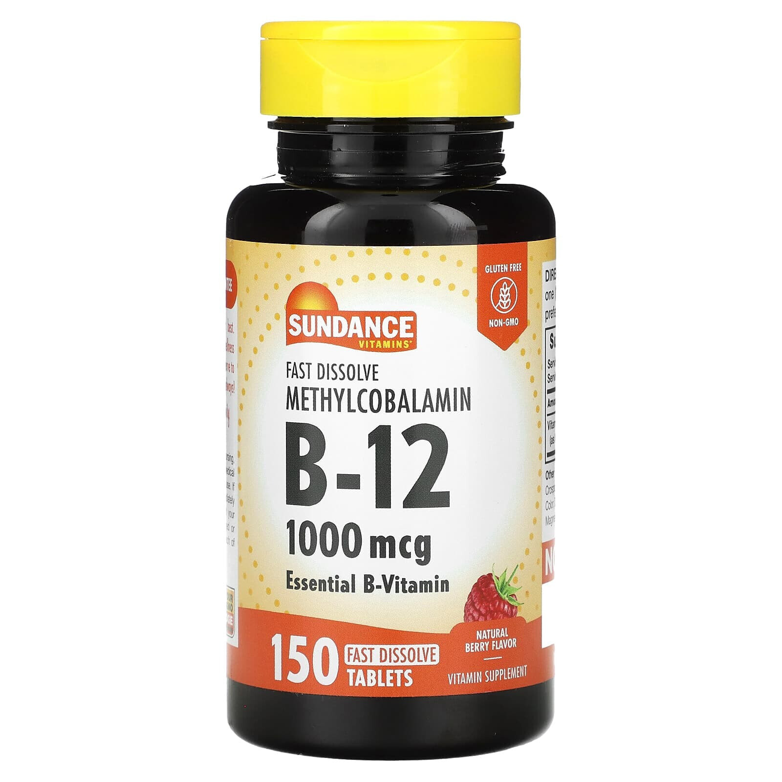 Sundance, Vitamin B-12, Natural Berry, 1,000 mcg, 150 Fast Dissolve Tablets