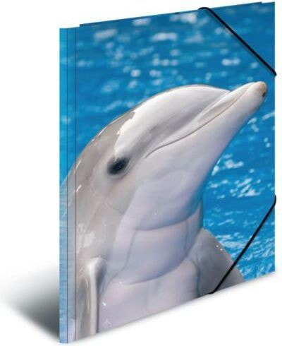 Herma Teczka folder A3 dolphin polypropylene
