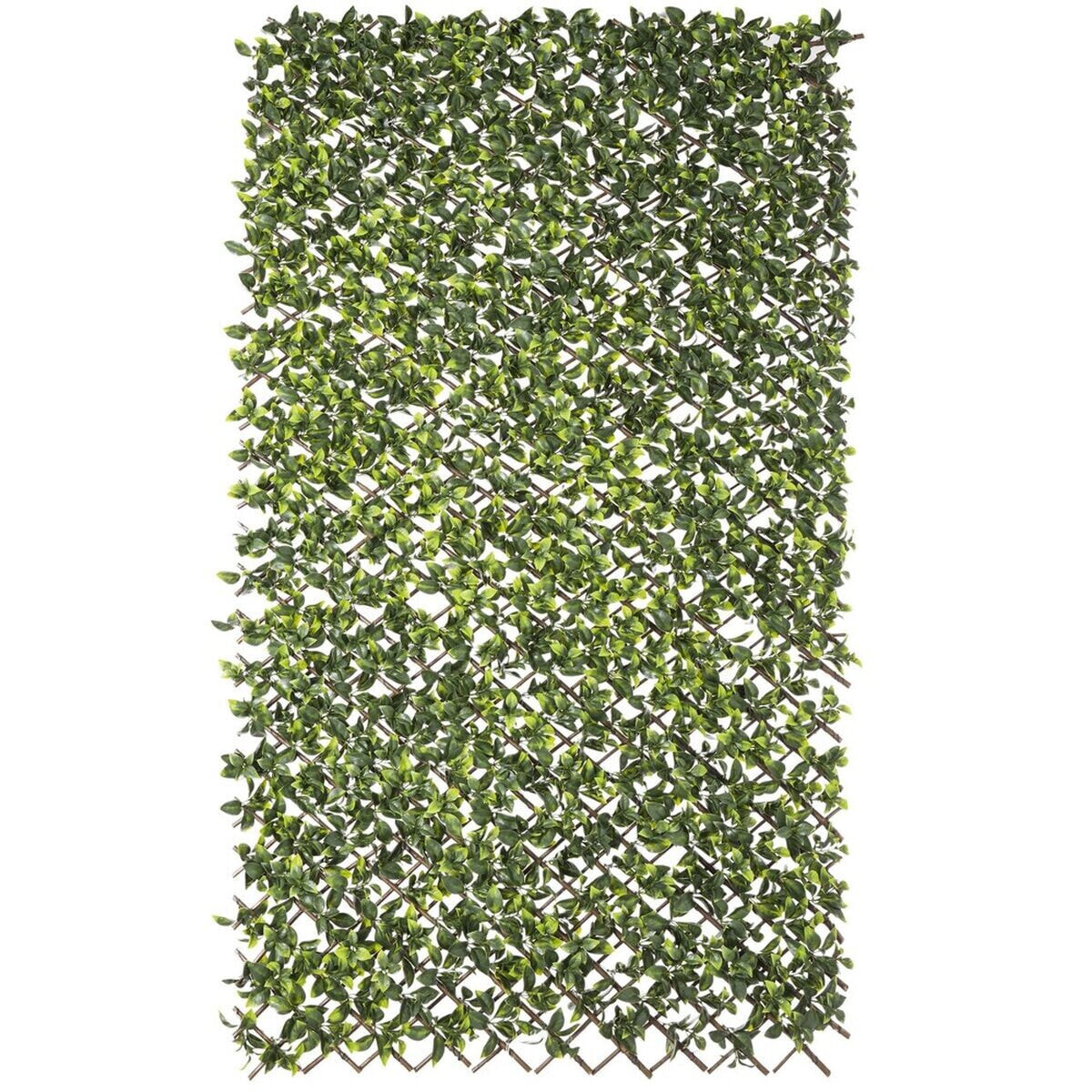 Lattice Natural Ivy wicker Bamboo 2 x 200 x 100 cm