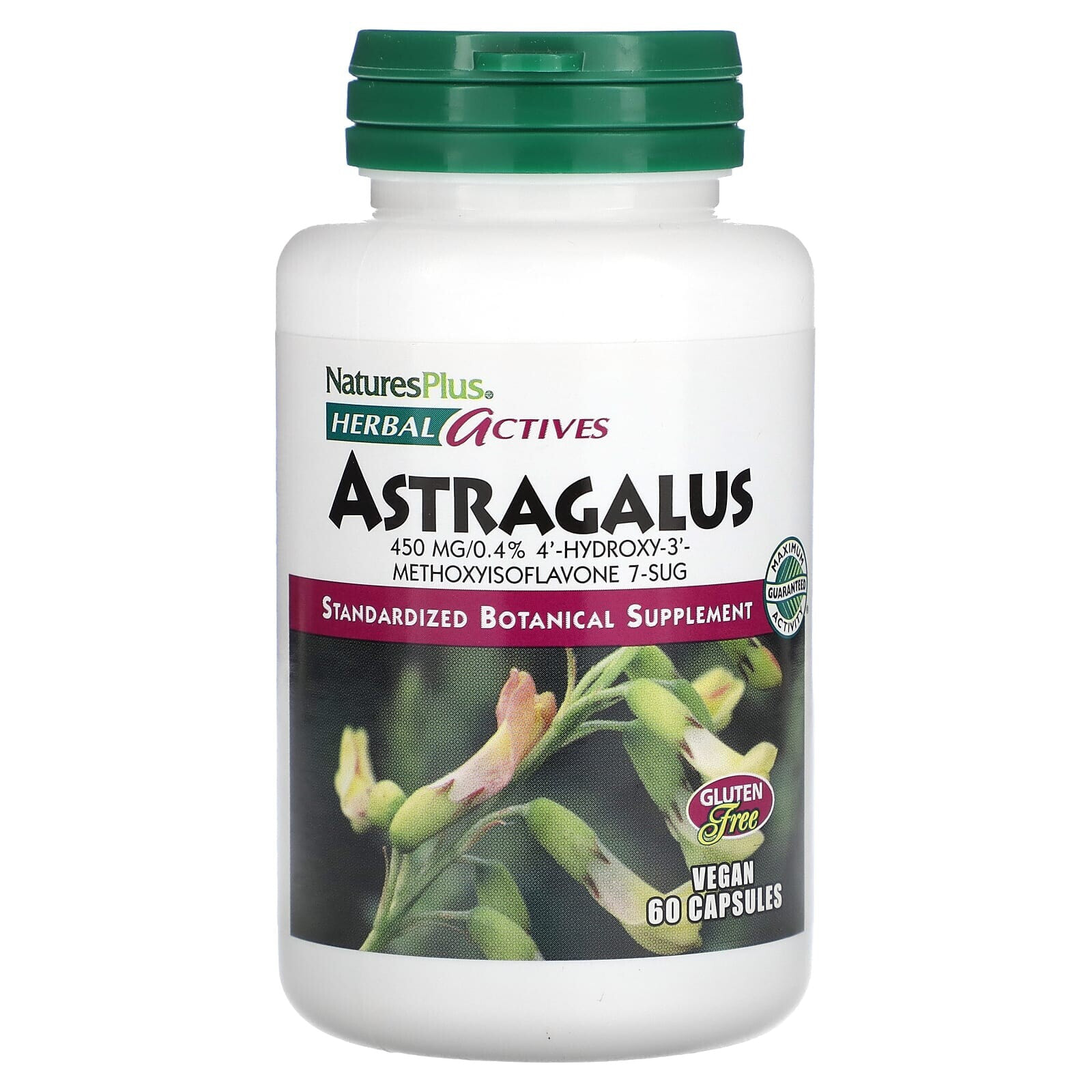 Herbal Actives, Astragalus, 450 mg, 60 Capsules