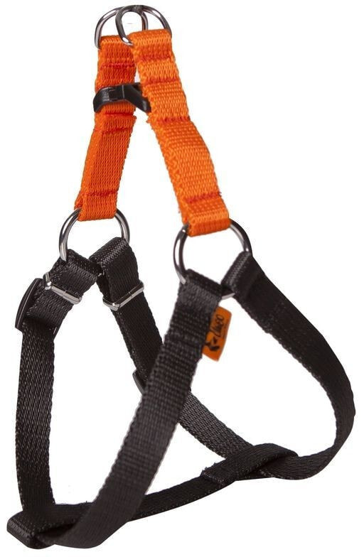 Dingo FRED dog harness with ENERGY tape, orange, size 85