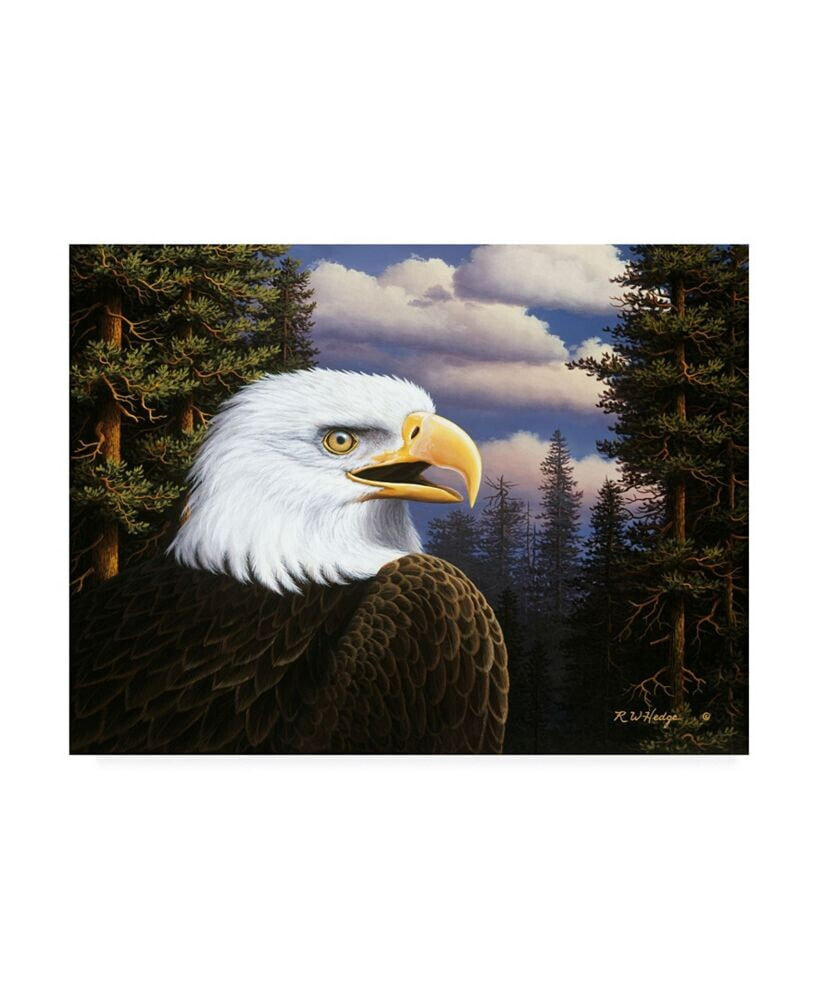Trademark Global r W Hedge Proud and Free Canvas Art - 15.5