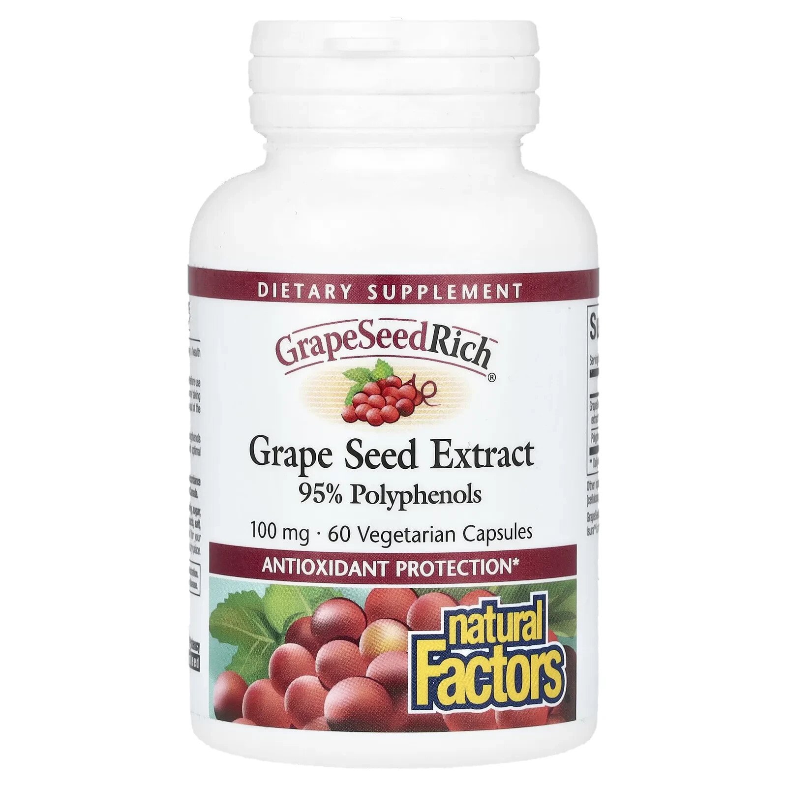 GrapeSeedRich, Grape Seed Extract, 100 mg, 60 Vegetarian Capsules