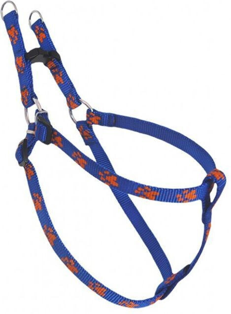 CHABA Adjustable harness Feet - Blue-orange 5