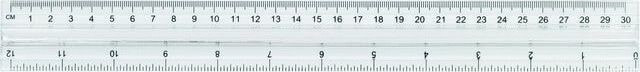 Staples Ruler with handle 30 cm