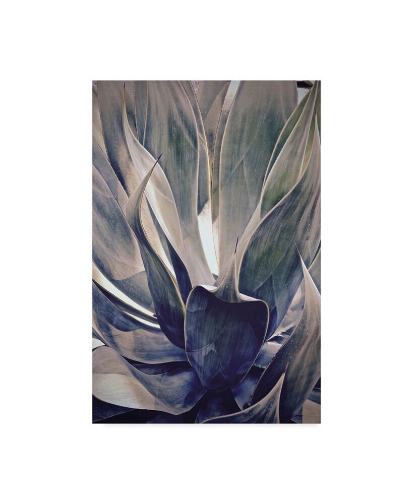 Trademark Global american School Faded Succulent Canvas Art - 15