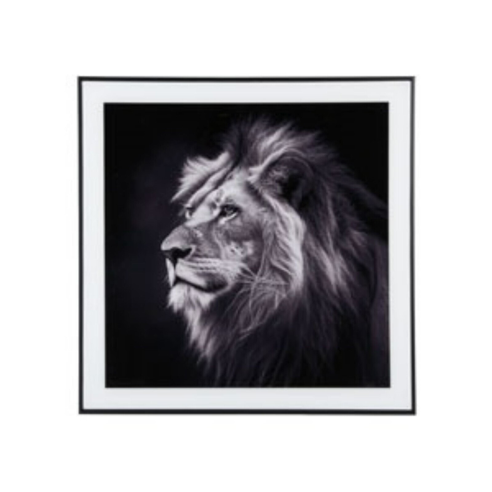 Wandkunst Lion