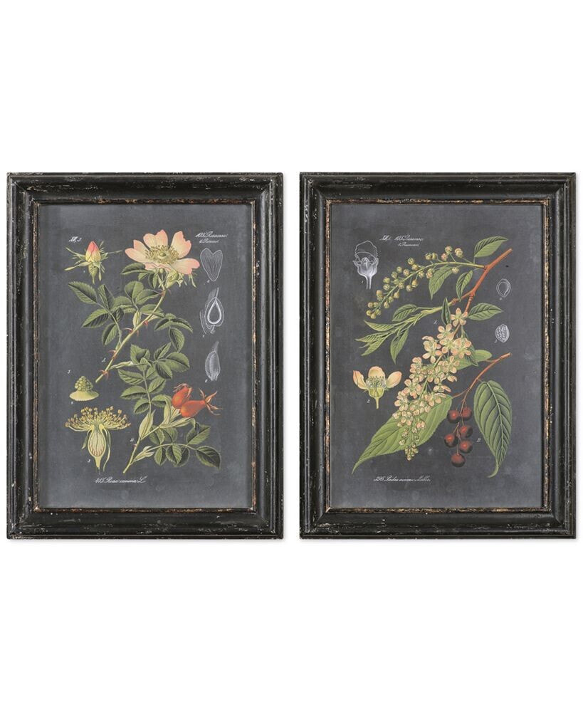 Uttermost wall Art, Midnight Botanicals