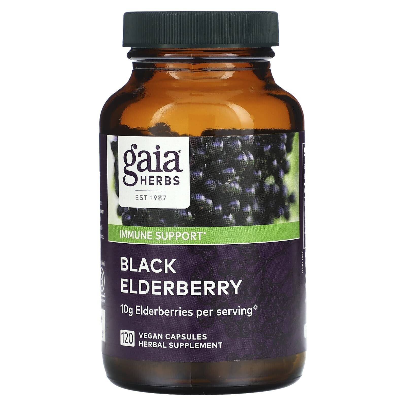 Black Elderberry with Acerola Fruit, 60 Vegan Capsules