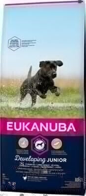 EUKANUBA EUKANUBA Junior Large 15kg