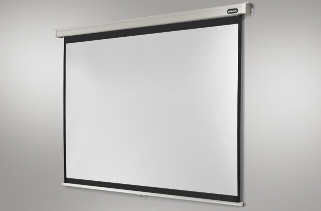 Celexon Professional проекционный экран 1:1 1090047