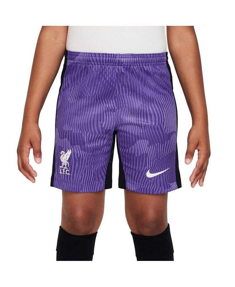 Nike big Boys Purple Liverpool 2023/24 Third Stadium Performance Shorts