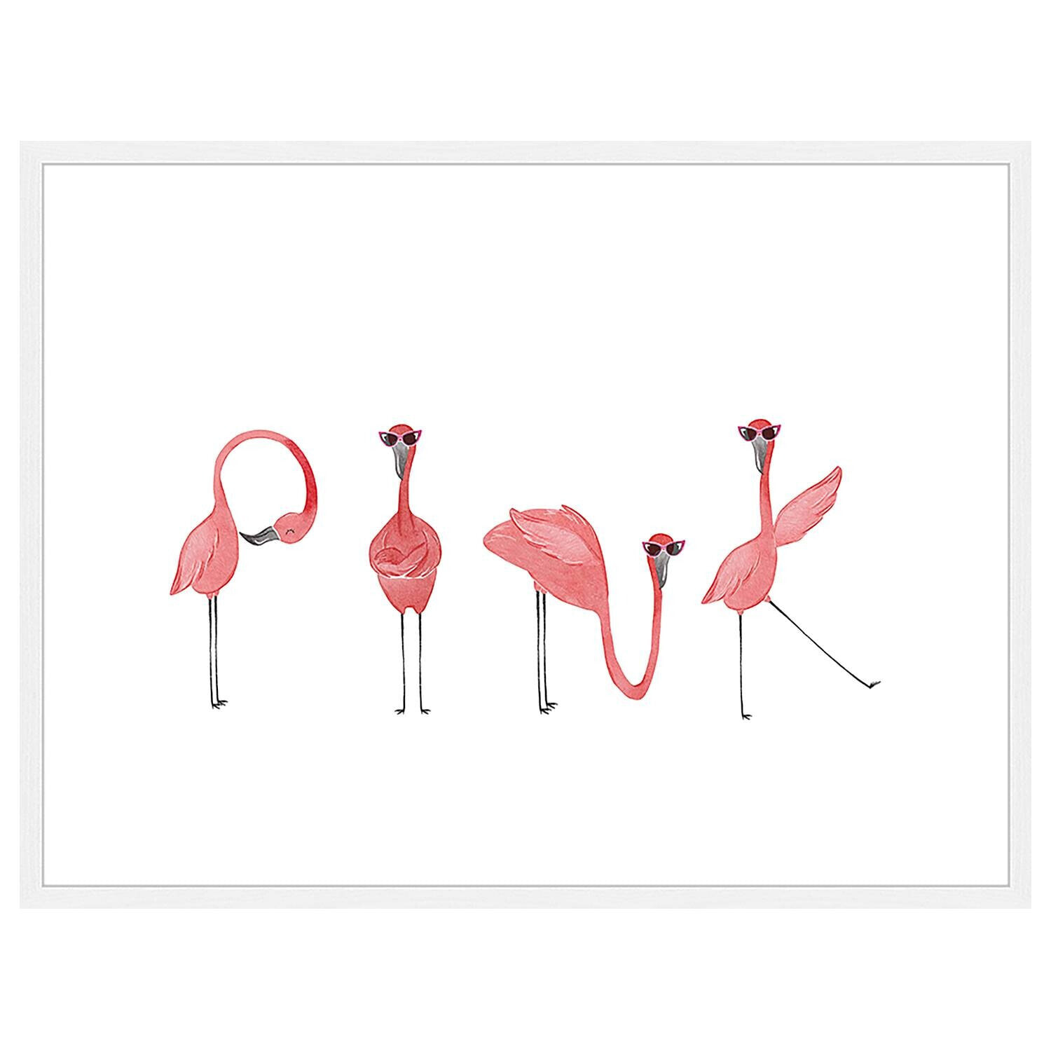 Bild Flamingos