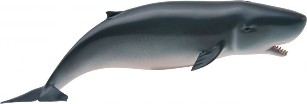 Figurine Collecta Sperm whale young (004-88653)