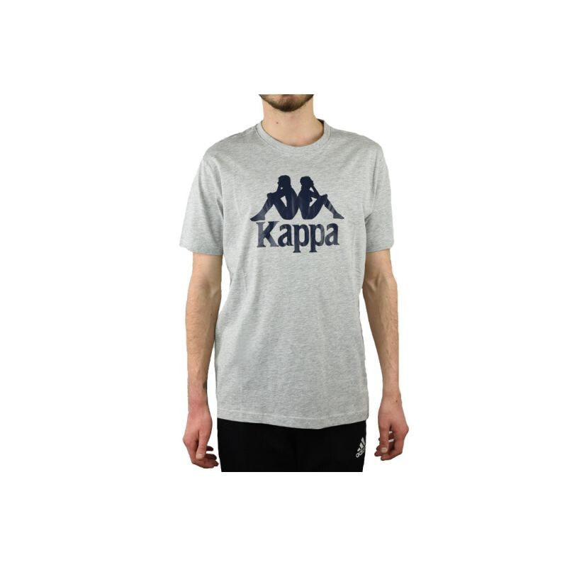 Мужская футболка спортивная  серая с принтом на груди Kappa Caspar T-Shirt M 303910-15-4101M