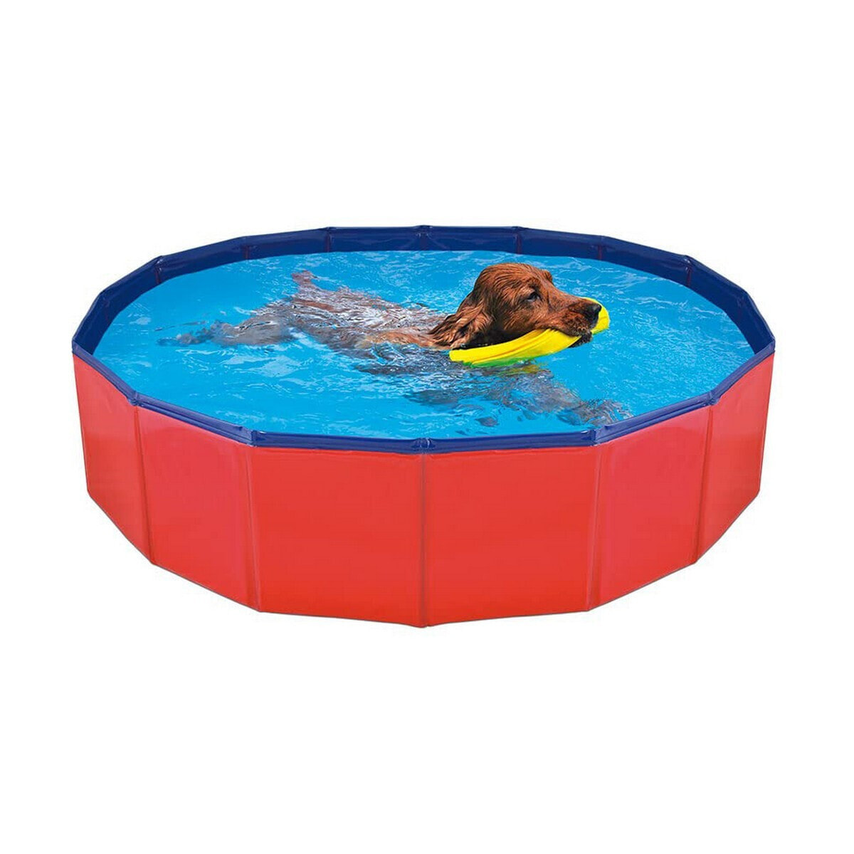 Detachable Pool Nayeco 120 x 30 cm Dog