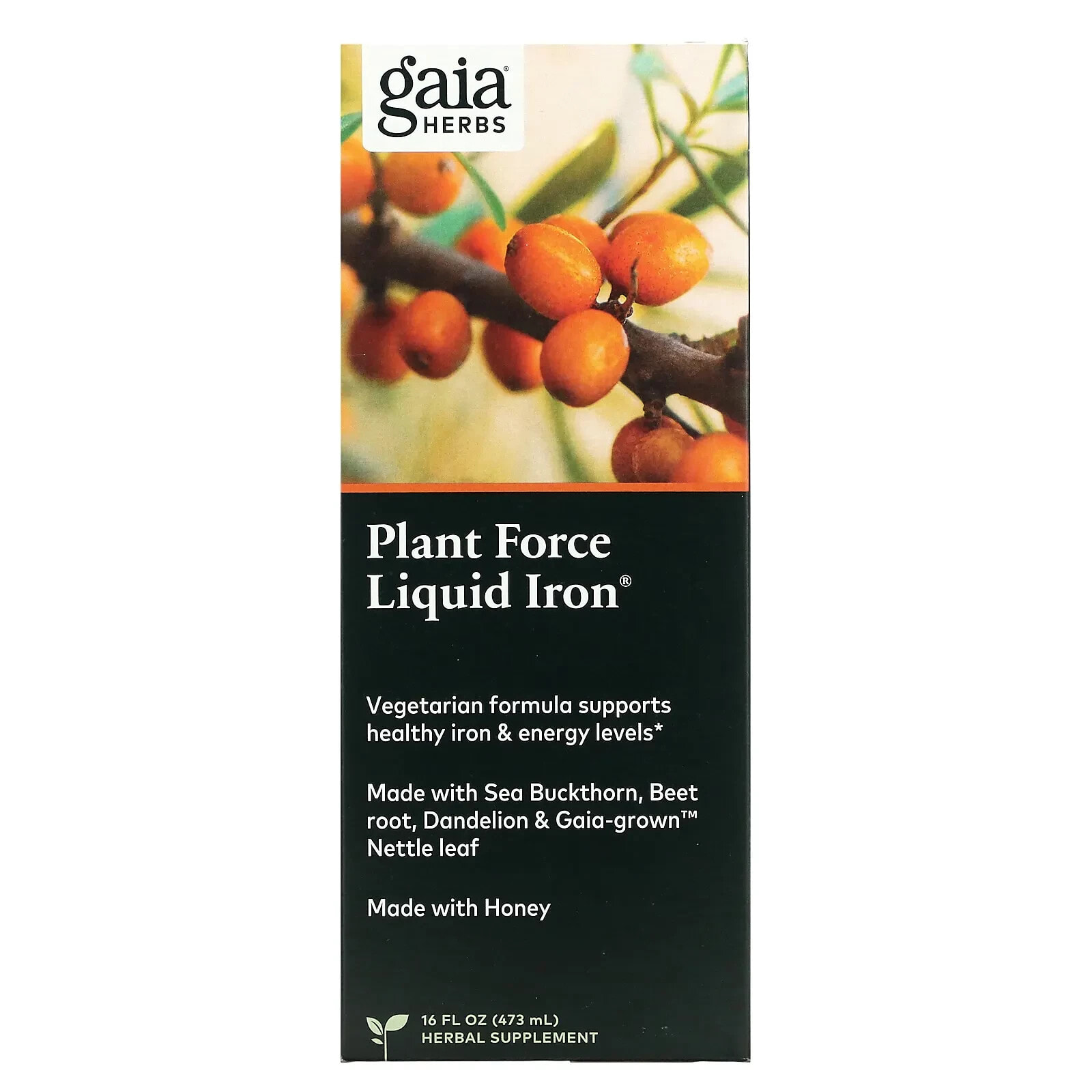 Gaia Herbs, Plant Force Liquid Iron, 8.5 fl oz (250 ml)