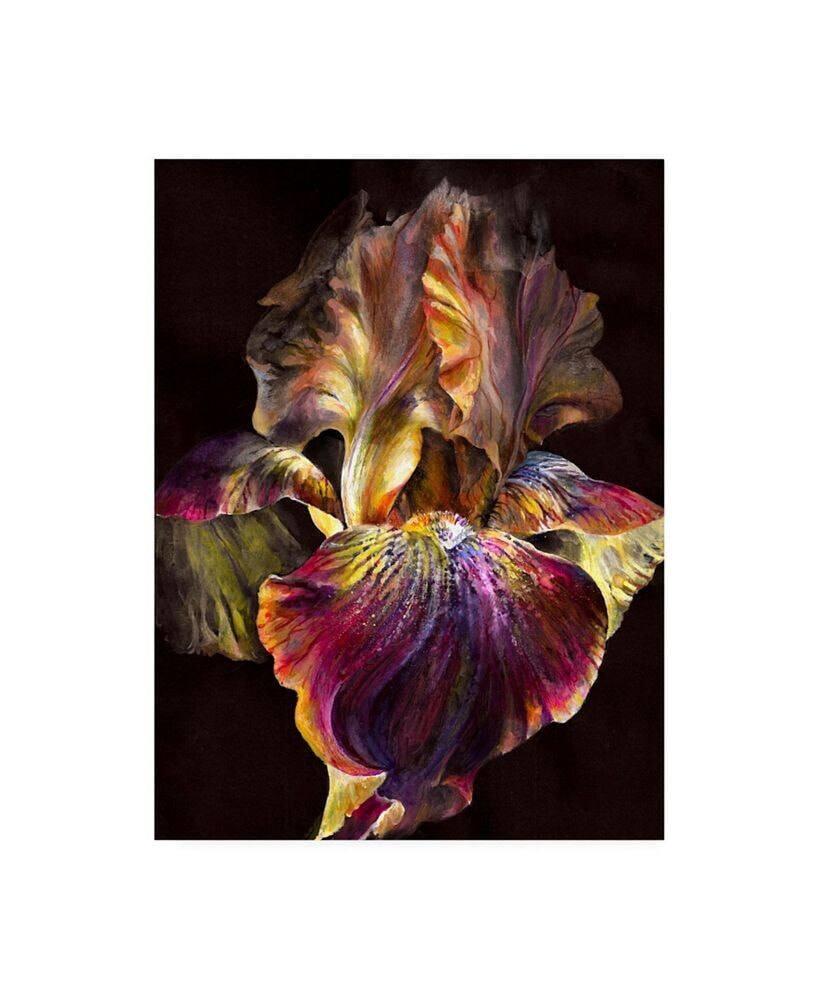 Trademark Global photoINC Studio Iris on Black Canvas Art - 27