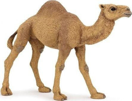 Figurine Papo Figurine Dromedary (401232)