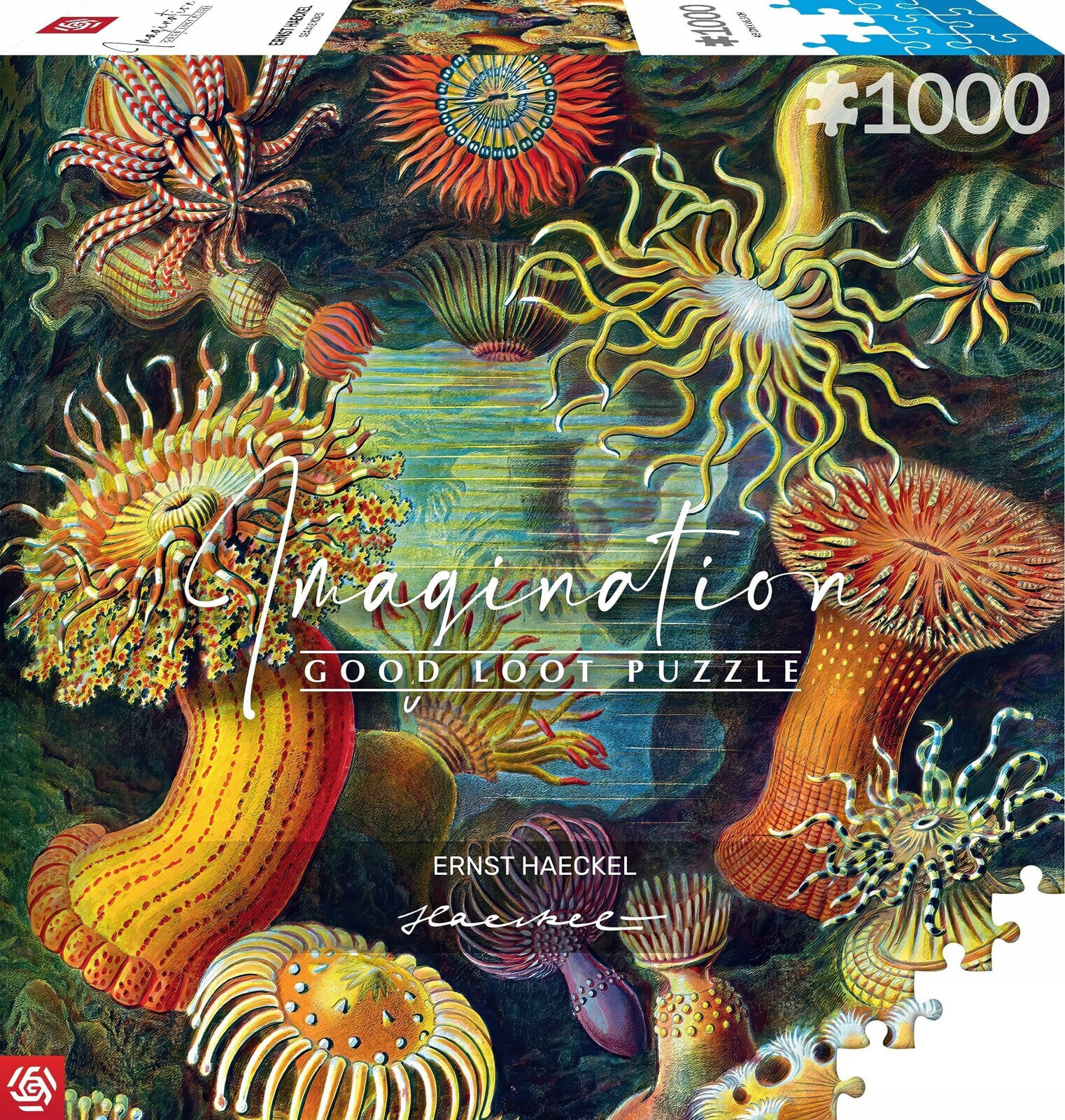 Good Loot Good Loot Puzzle: Ernst Haeckel - Sea Anemones