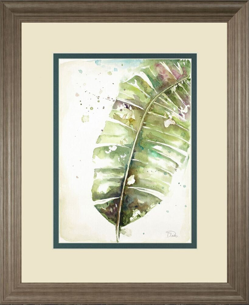 Classy Art watercolor Plantain Leaves II by Patricia Pinto Framed Print Wall Art, 34