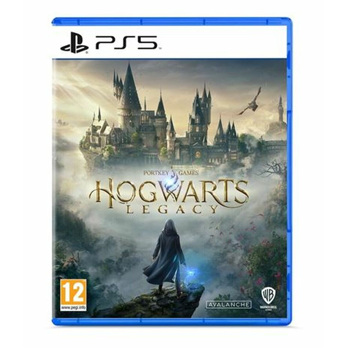 Видеоигры PlayStation 5 Warner Games