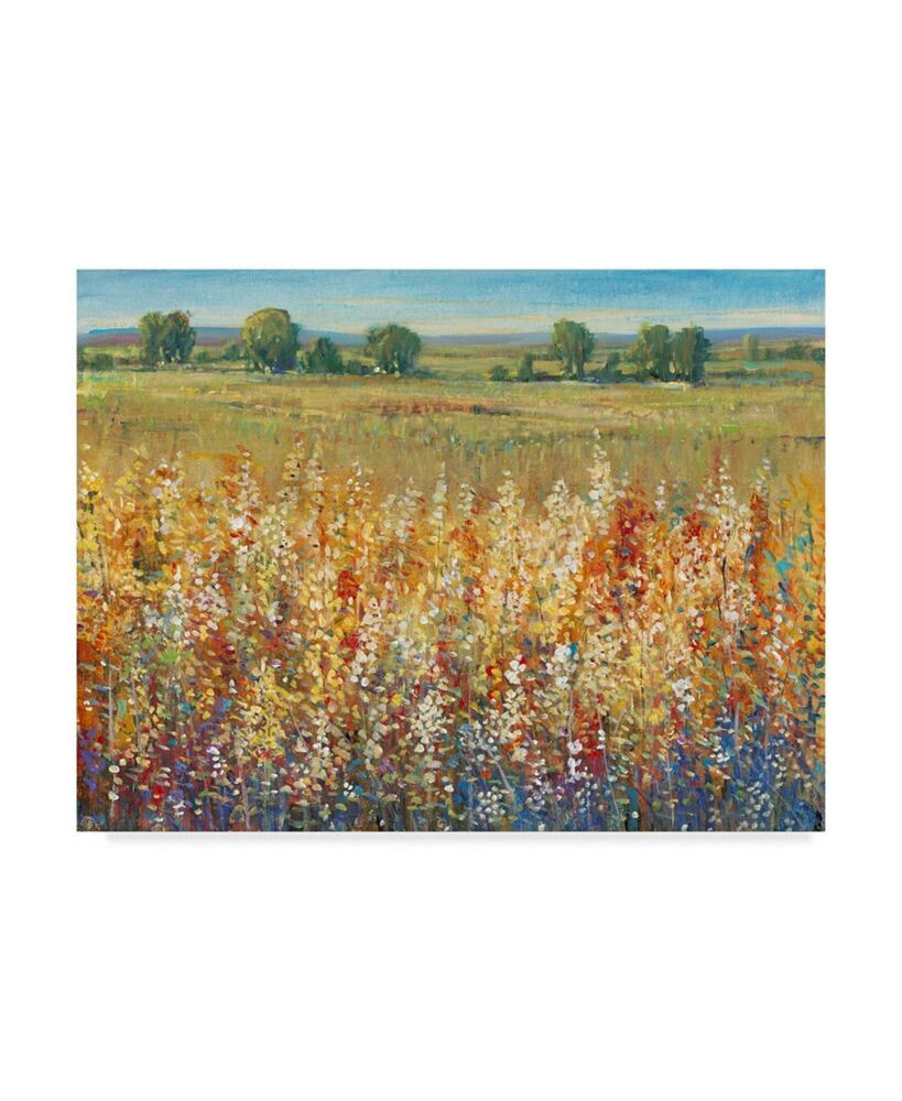 Trademark Global tim Otoole Gold and Red Field I Canvas Art - 20