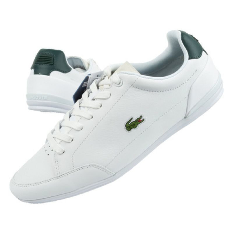 Мужские белые кроссовки Lacoste Chaymon M 431R5 shoes размер 40 — купить  недорого с доставкой, 8087301