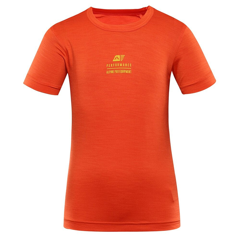 ALPINE PRO Basiko short sleeve T-shirt