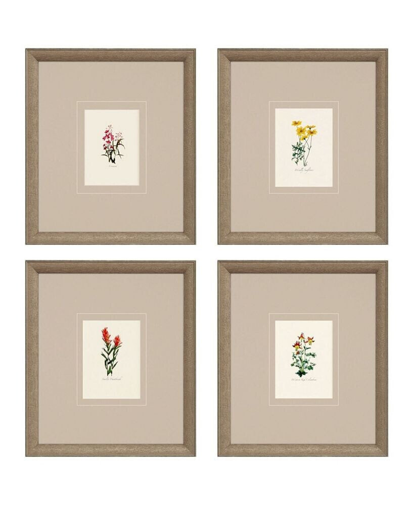 Paragon Picture Gallery western Wildflower Framed Art, Set of 4