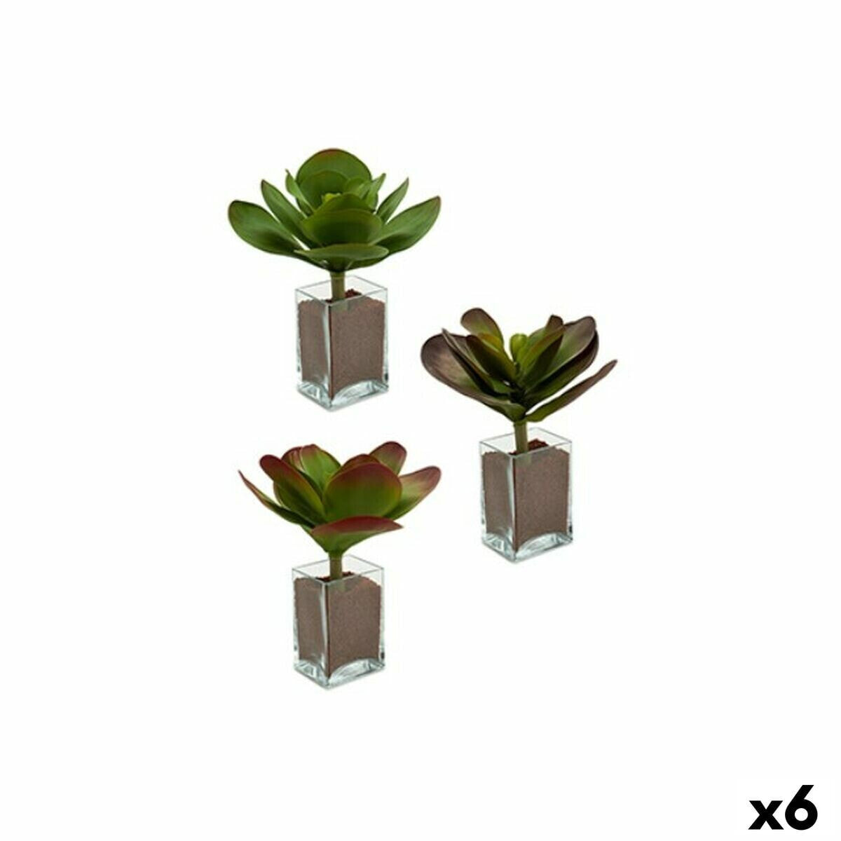 Декоративное растение Листья Большой Двухцветный Пластик 27 x 29 x 27 cm (6 штук)
