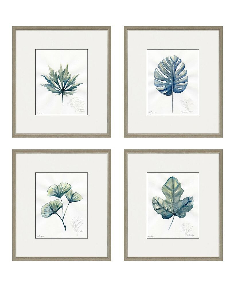 Paragon Picture Gallery plant Drawings Framed Art, Set of 4