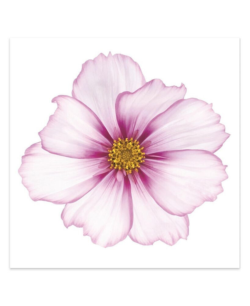 Empire Art Direct magenta Cosmo on White Frameless Free Floating Tempered Glass Panel Graphic Wall Art, 40