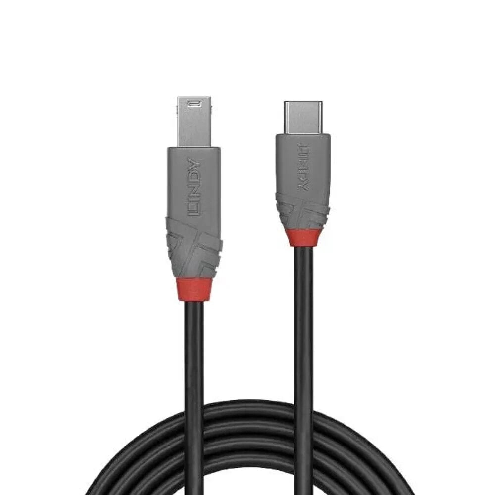 LINDY 36666 USB-C to USB-b cable