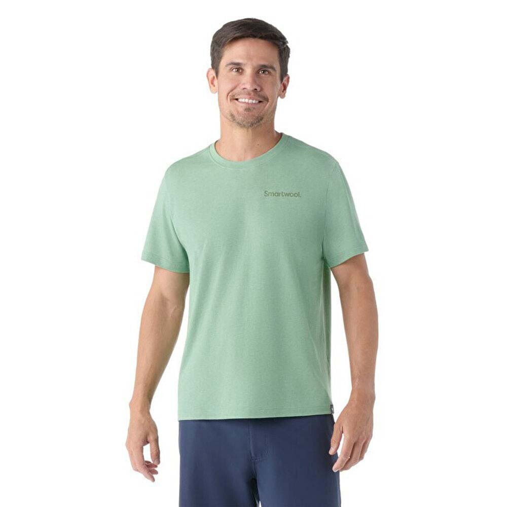 SMARTWOOL Nautre´s Vibes Graphic short sleeve T-shirt