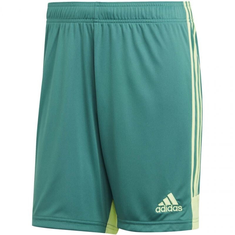 Мужские шорты спортивные зеленые футбольные Adidas M Tastigo 19 Shorts DP3251