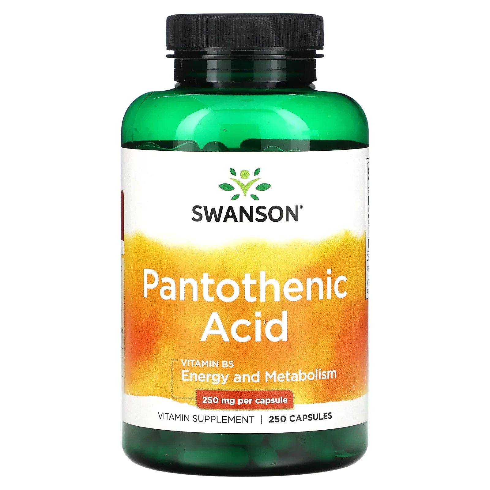 Pantothenic Acid with Vitamin B5, 250 mg, 250 Capsules