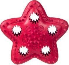 Barry King Star for delicacies red 12.5 cm