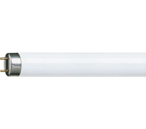 Philips MASTER TL-D Super 80 люминисцентная лампа 18 W G13 A 63171840