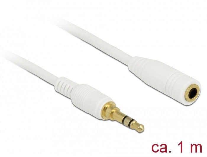 DeLOCK 85577 аудио кабель 1 m 3,5 мм Белый