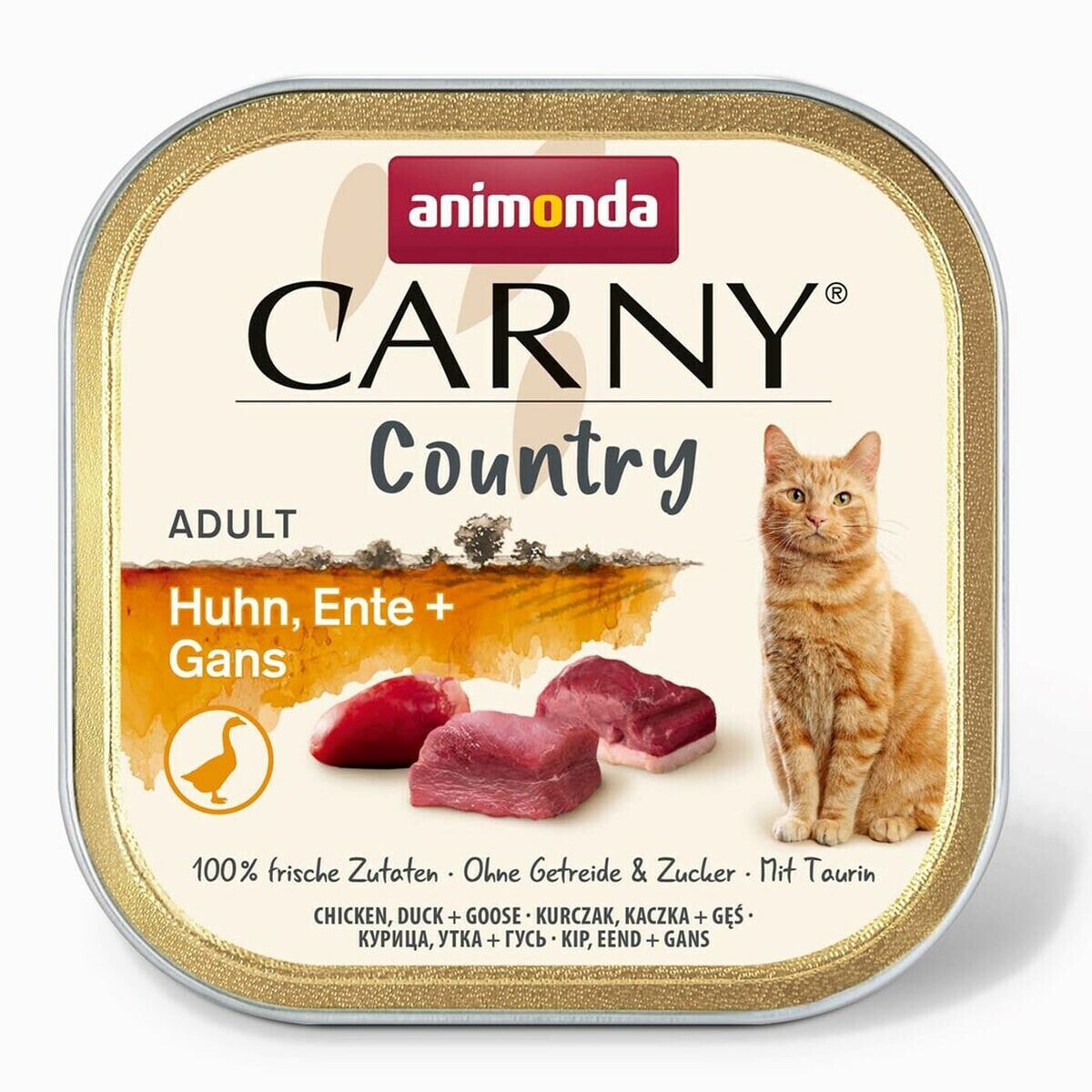 Cat food Animonda Carny Country 100 g