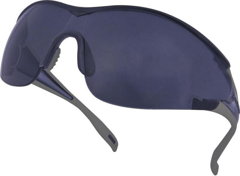 DELTA PLUS Polycarbonate glasses Egon Smoke Smoke UV400 (EGONGRFU)